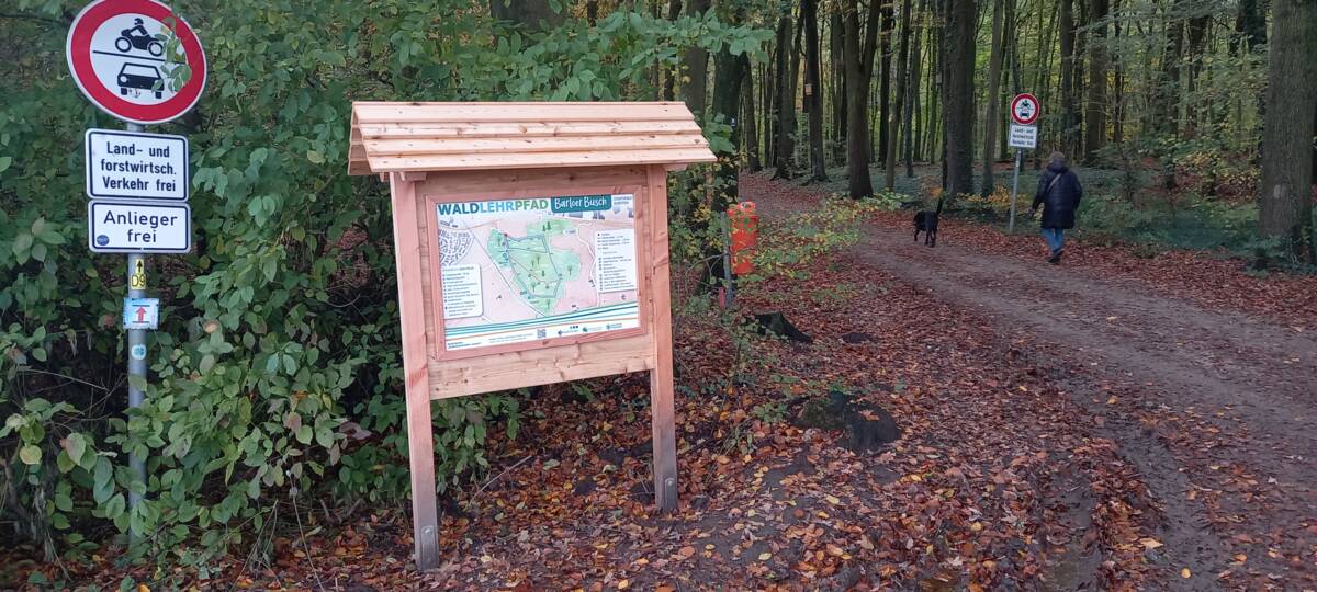 Bild